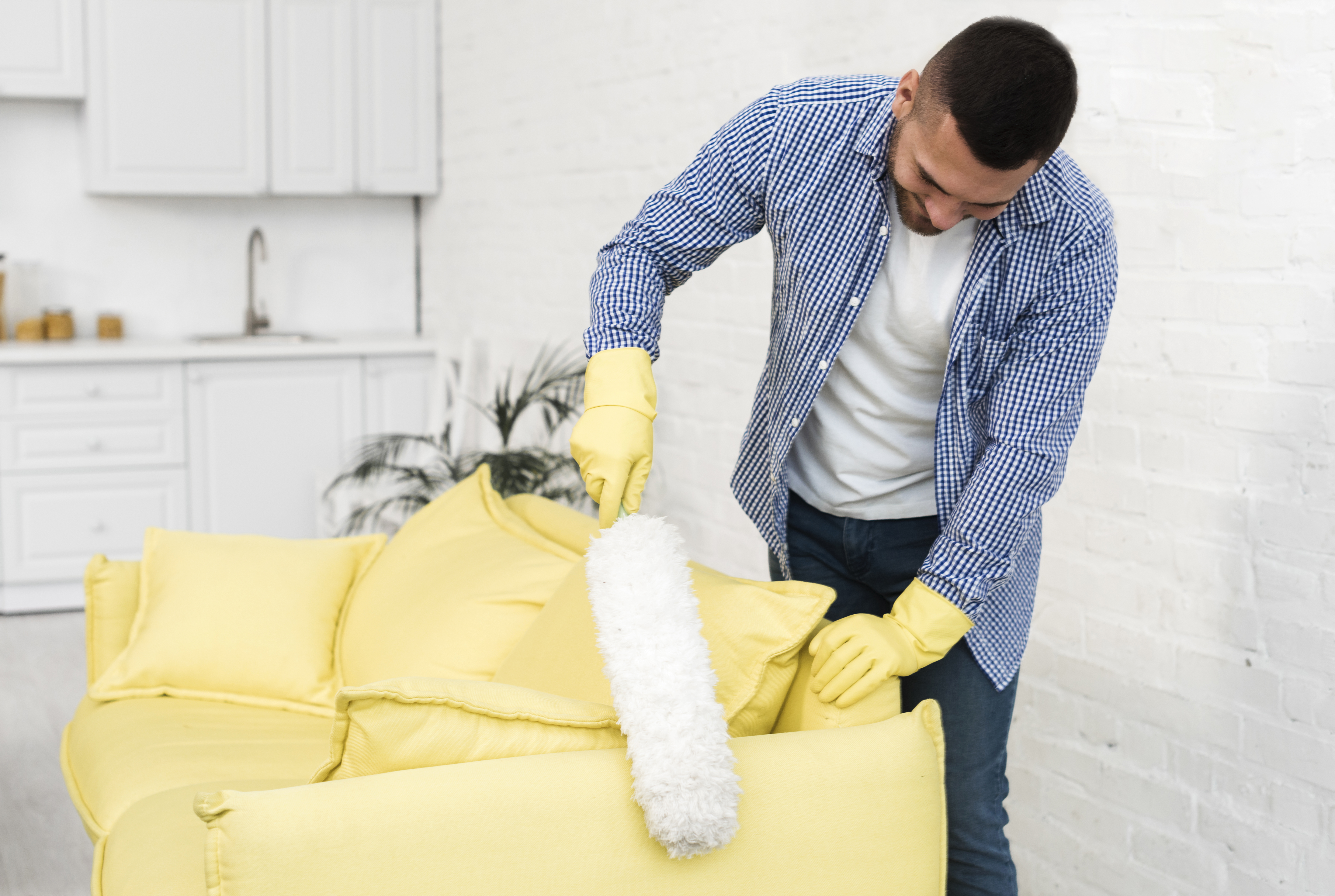 Upholstery Cleaning
